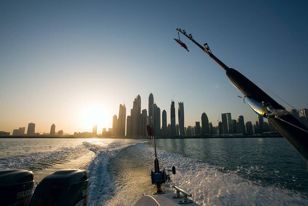 Sonar Isn’t Just for Sport Fishing - 1
