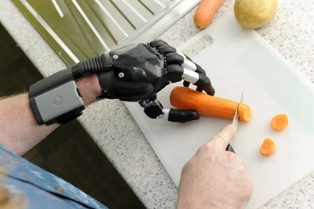 Lifehand 2
