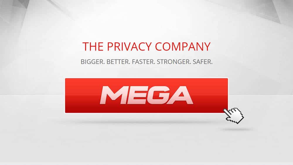 MEGA ipo