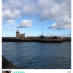 Vine video on Windows Phone