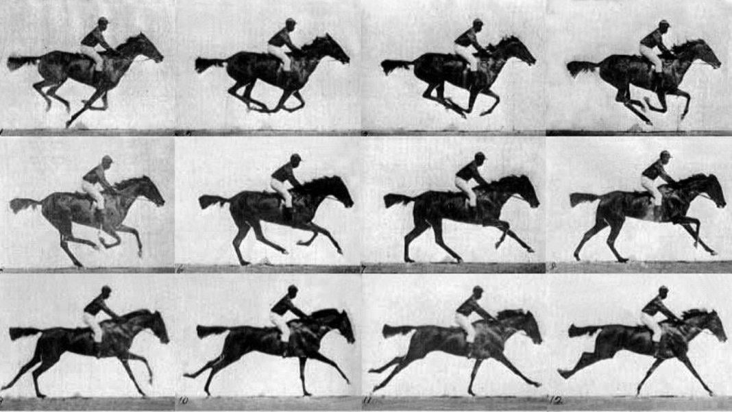 A Living Hard Drive: This GIF Was Stored in the DNA of Bacteria