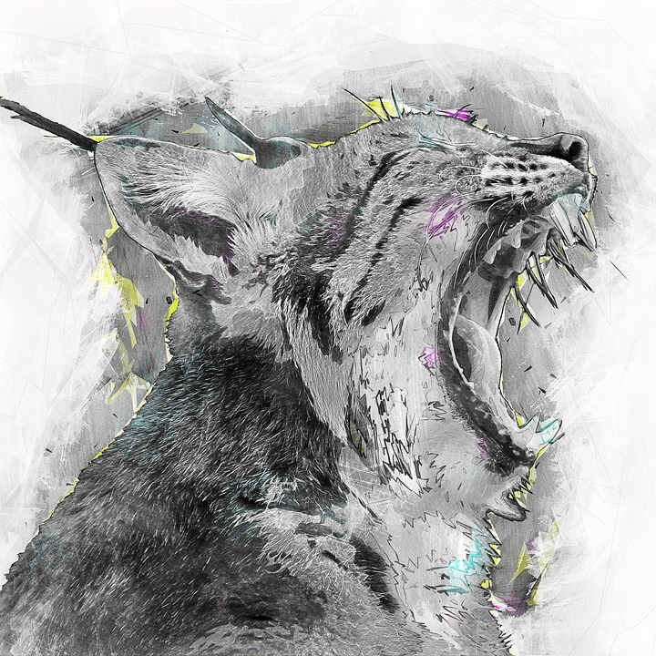 A picture containing mammal Description automatically generated