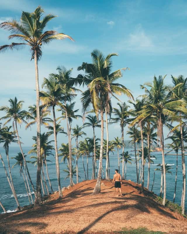 Reasons to Travel and Stay in Palm Beach - 2