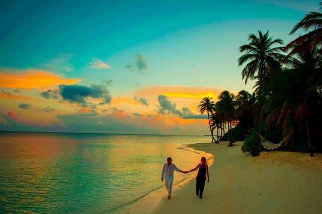 Reasons to Travel and Stay in Palm Beach - 1