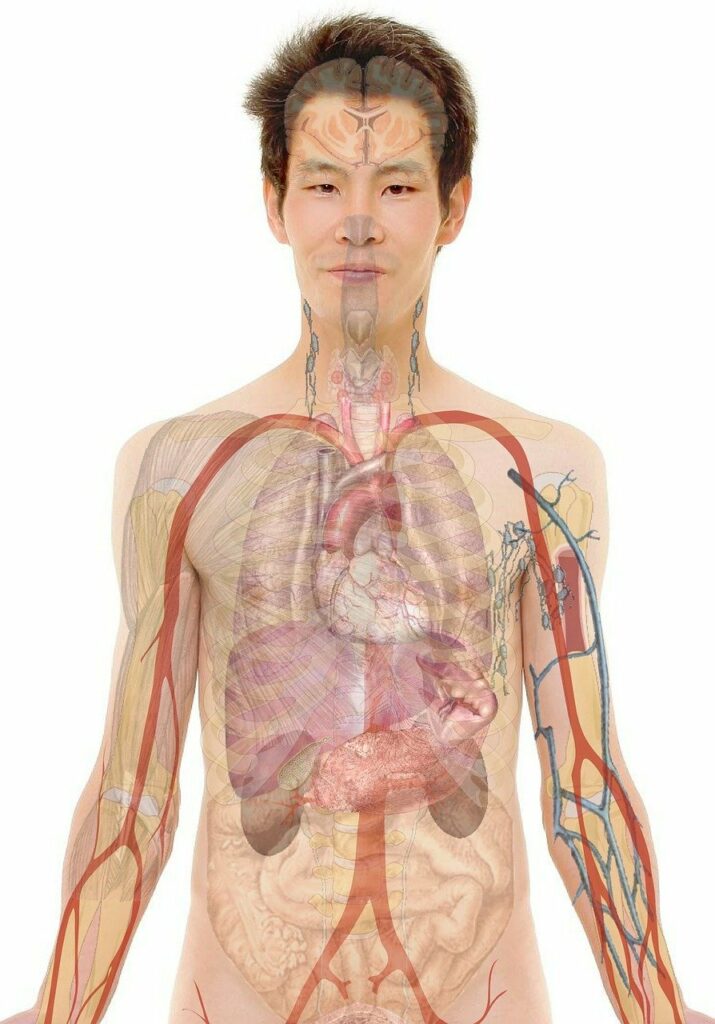 The 4 Latest Updates in Medical Tech - 2