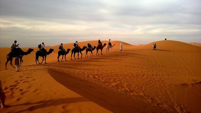 Luxury Desert Safari - 1