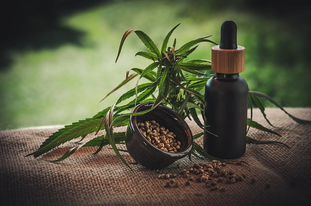 How CBD Tincture Can Elevate Your Central Nervous System - 1