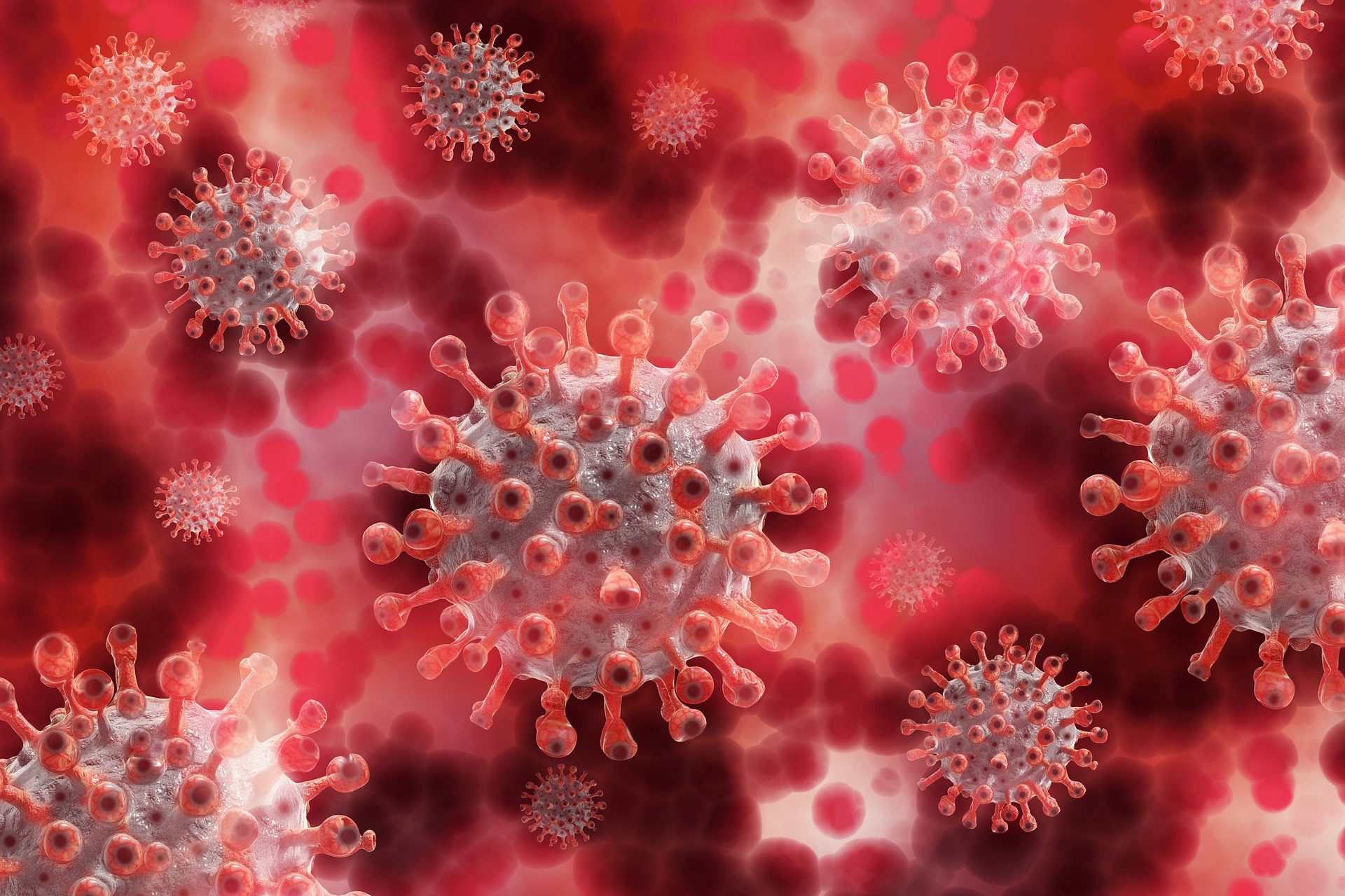 How BurstIQ Provided A Lifeline For The Healthcare Industries During The Covid-19 Pandemic - 1