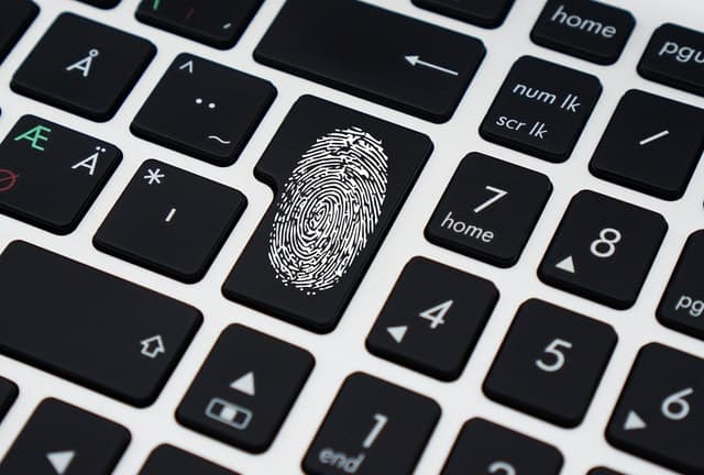 Understanding Face, Voice and Fingerprint Identification - 2