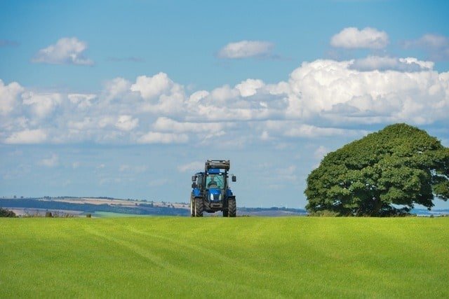 The Evolution of Lawn Mowing - 1
