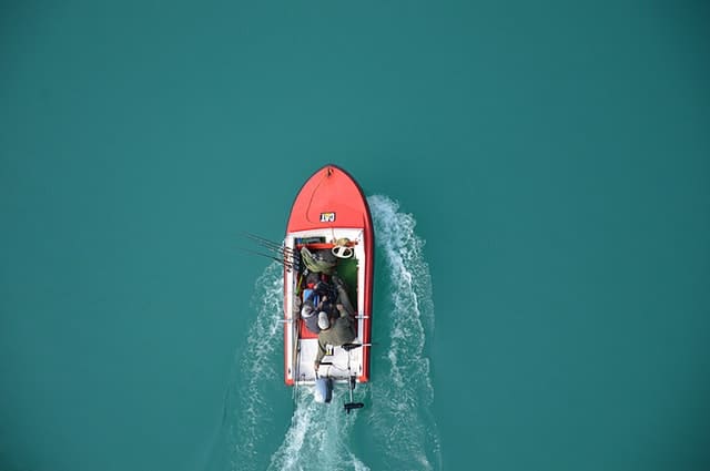 Great Fishing Gadgets That Can Make All The Difference - 1