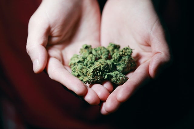 How A Small Tech Company Helps MMJ Patients In Ohio - 1