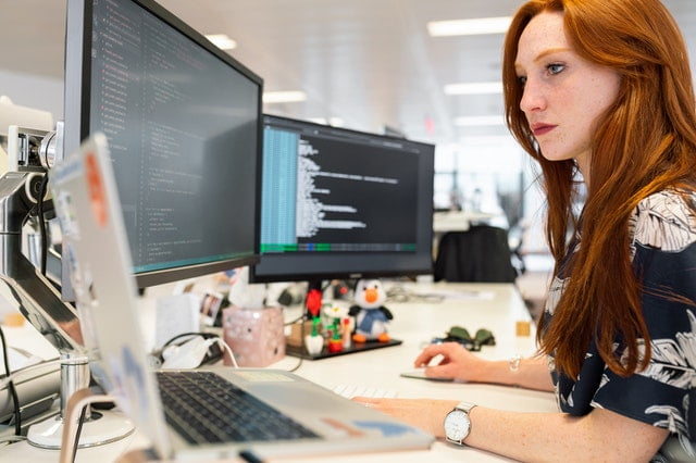 Services and Goals of Software Development Company - 1