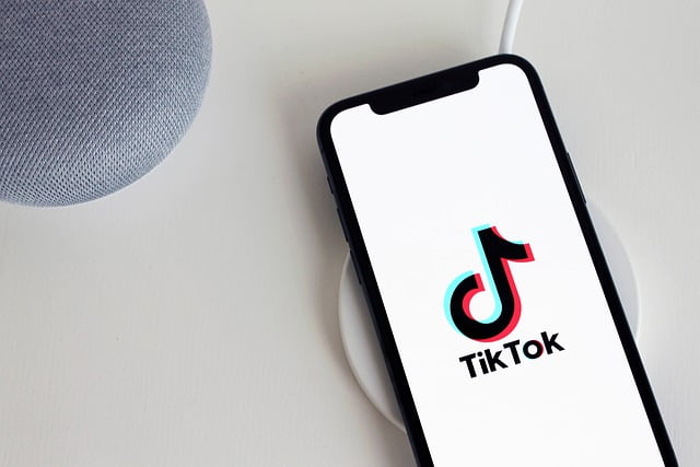 How TikTok Conquered the Social Media Scene in 2020 - 1