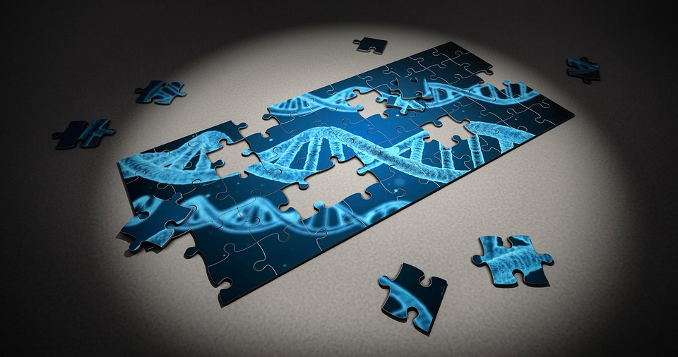 A Brief Guide to CRISPR Technology & Its Future Potential - 1