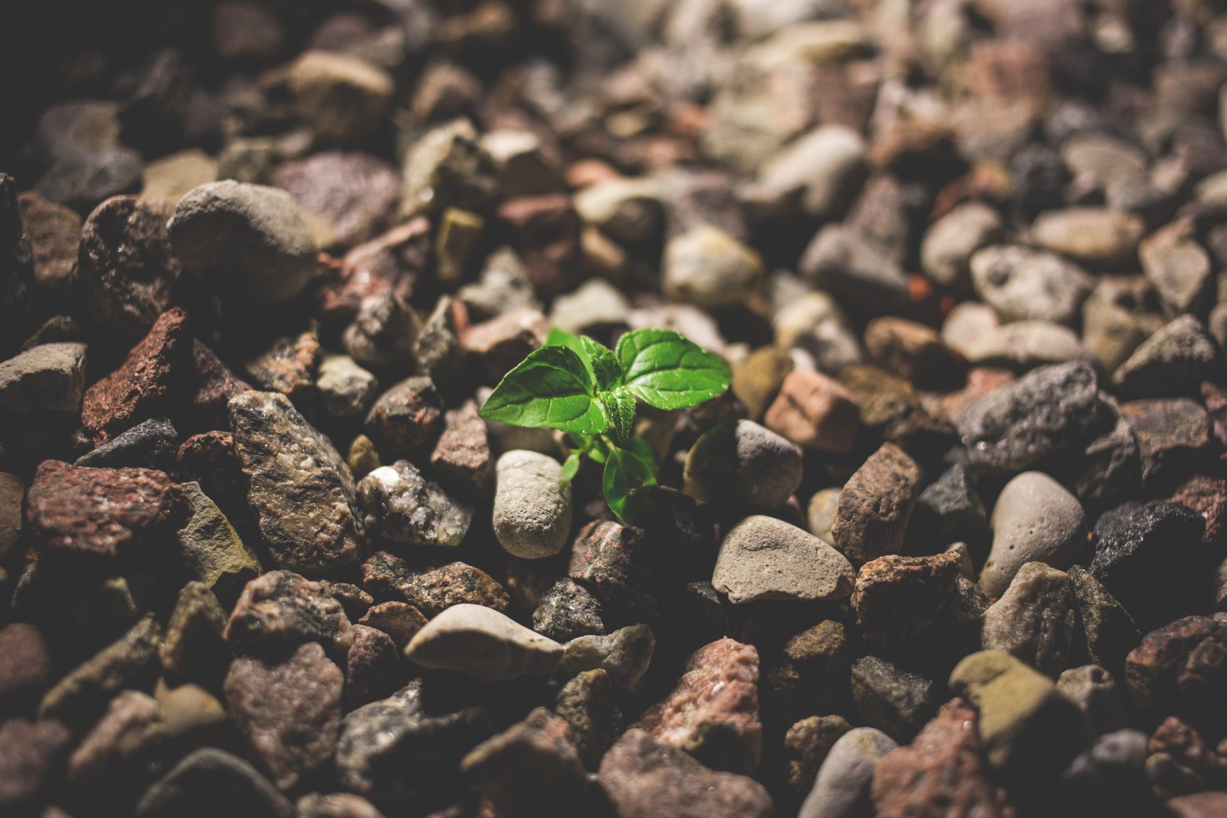Why Instagram Can be a Platform for Business Growth - 1