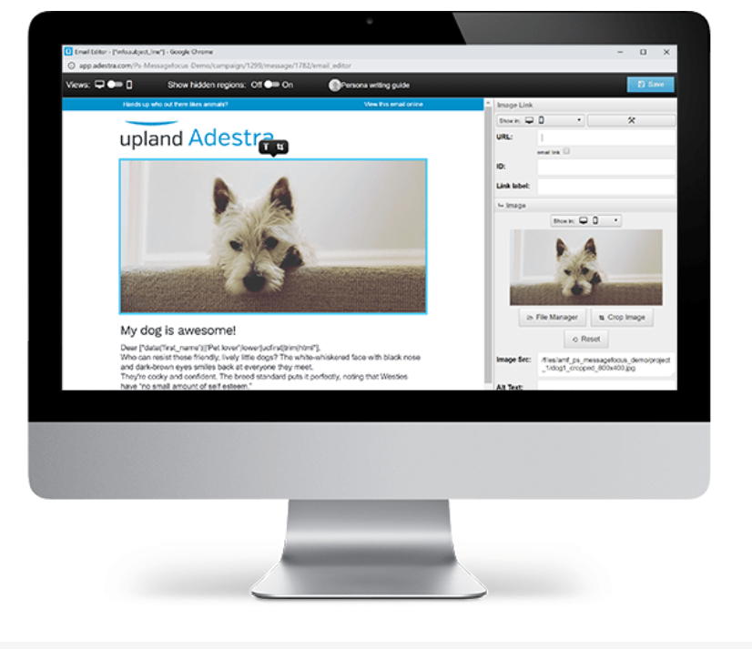 What Marketing Automation Can Do For You and 10 Companies to Get You Started - 11